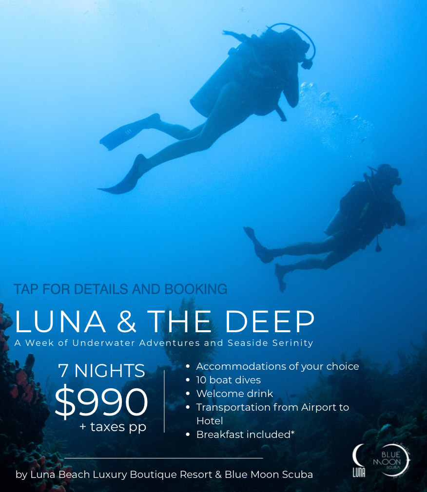 Blue-Moon-Scuba-Roatan-Luna-Beach-Roatan-2025-Promo