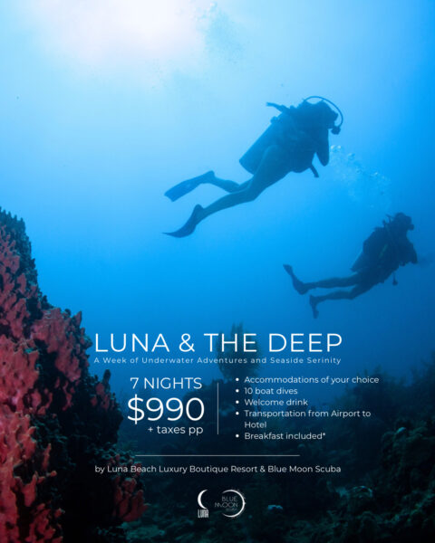PROMO Luna & The Deep Summer 2025 - Blue Moon Scuba Dive Center